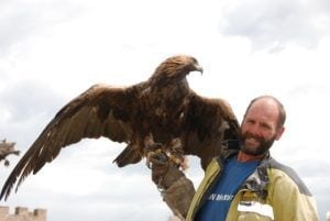 Mongolia hunting eagle participant for Golden Eagle Festival
