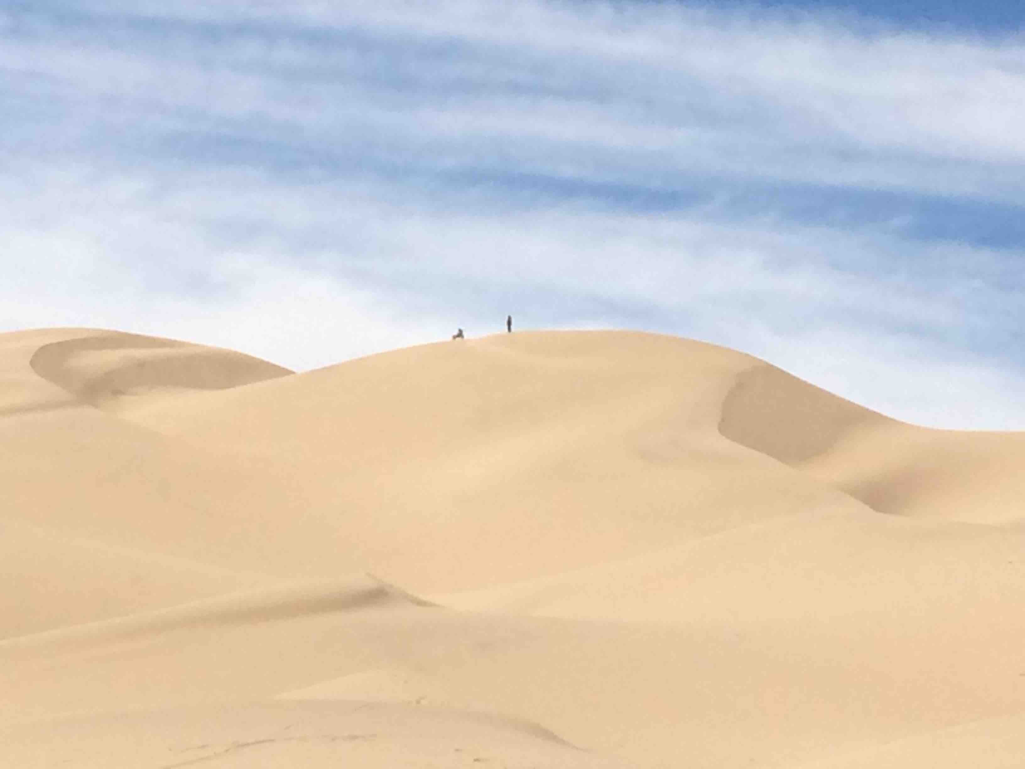 Discovering the Gobi Desert | Renedian