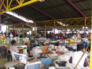 BJS IMG_2265